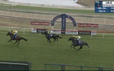 Lavish Rose Runs A Solid 3rd At Hawkesbury On Sunday