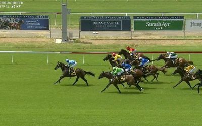 Oakfield Navajo Runs A Good Second On Debut