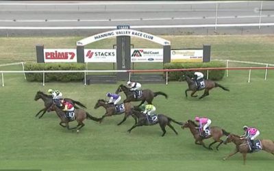 Great Excitement Runs Into Third At Taree