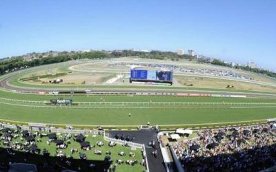 The Lane Yard To Compete With Runners On The Kenso On Saturday