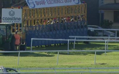 The Lane Yard Prepares Runners For Newcastle On Saturday