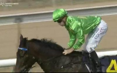 Oakfield Twilight Prepares To Run At Rosehill On Wednesday Under Tim Clark