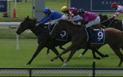 Zorocat runs a bottler on debut to place 3rd in a Newcastle maiden under Digger Mclellan