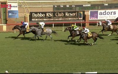 The Lane Yard Bags A Double At Dubbo Under Jake Pracey-Holmes