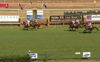 Captain’s Legend Finishes 3rd After The Third At Dubbo