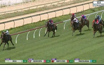 Buckin’ Rippa Puts In A Solid Performance To Run 2nd At Wyong