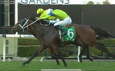 Oakfield Missile Claims The Last On The Rosehill Card Under Sam Clipperton