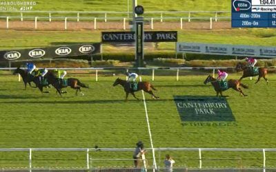 Oakfield Twilight Runs A Solid Third At Canterbury To Bounce Back Under Jean Van Overmeire