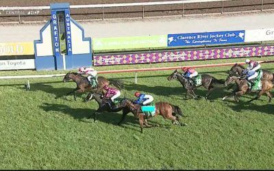 Thiswilldous Just Misses To Run Third At Grafton