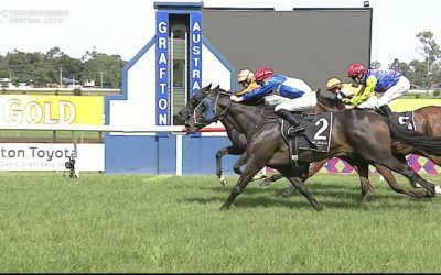 Captain’s Legend Just Misses When Arriving As The Runner Up At Grafton Under Ben Looker