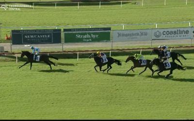 Oakfield Tickets Runs Third at Newcastle under Darryl Mclellan