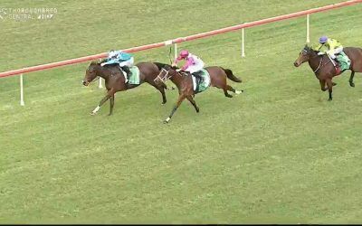 Montana Thunder arrives in third at Taree under Jake Hull.