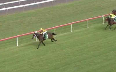 Oakfield Tickets Runs Second At Taree Under Grant Buckley.