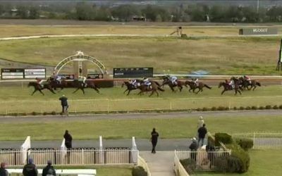 Oakfield Captain runs third at Mudgee under Adrian Layt