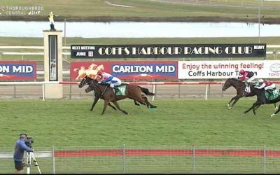 Thiswilldous Nearing A Win After A Super Effort At Coffs To Arrive In Second