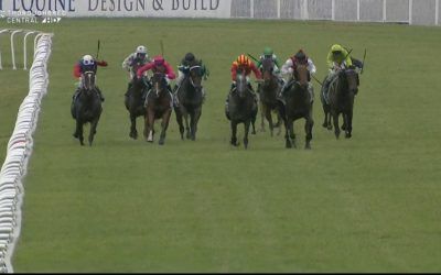 Oakfield Poet arrives in third under Chad Lever after the opener at Hawkesbury