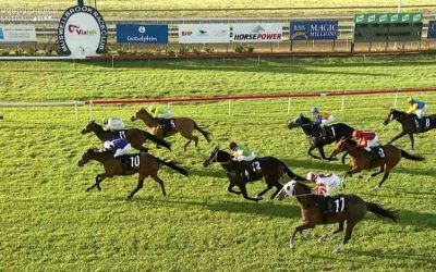 Oakfield General Takes Home A Third Placing At Muswellbrook