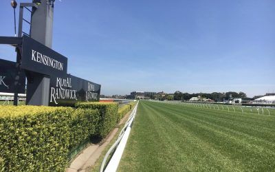 Three Lane Runners To Compete On Saturday On The Kensington