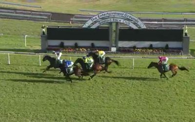 Montana Thunder Arrives In Third After The Running Of Race 5 At Gosford.