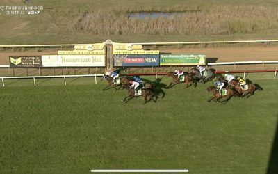 Sugarland Express Runs A Great 2nd Under Grant Buckley In The 6th At Cessnock.