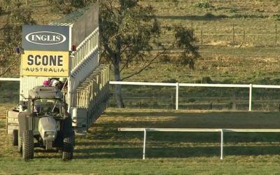 Love Wins Weighs Up A Tough Draw At Scone