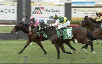 Sparks Puts In A Respectable Run At Taree First Up For The Yard.