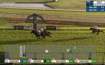 Thiswilldous Remains Consistent After Finishing 2nd Under Travis Wolfgram At Hawkesbury.