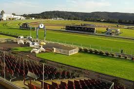 The Lane Yard Saddles Up For Racing At Gosford On Friday