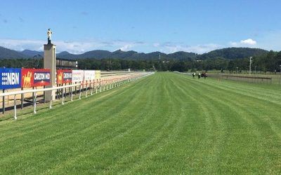 The Stable Hoping Sparks Will Fly At Coffs Harbour On Thursday.