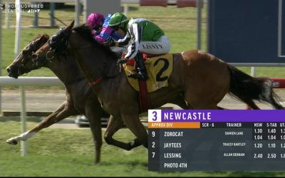 Zorocat Takes Out The 3rd At Newcastle Under Digger