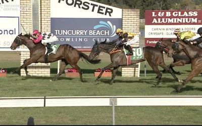 Fearless Mila Puts In A Gutsy Performance To Run Second At Tuncurry