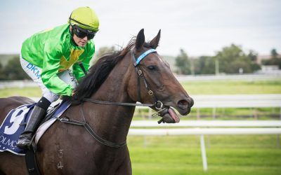 Oakfield Double at Muswellbrook