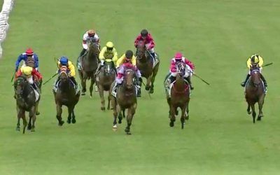 Too Good to be Tru Wins at Taree