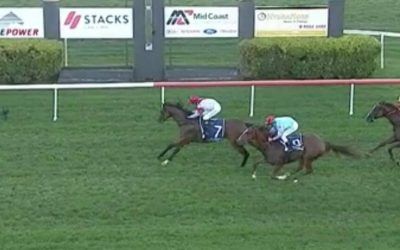 Too Good to be Tru maintains his Taree Record