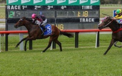 Test the Waters Breaks Maiden at Scone