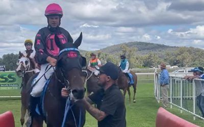 Sterny Bear Wins at Wellington