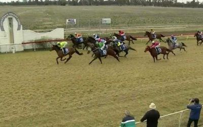 Oakfield Hibiscus Wins at Gunnedah