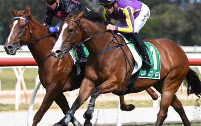 Locals Primed for Wyong Magic Millions Feature