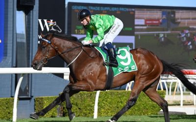 Oakfield Warpaint wins at Wyong