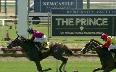 He’s Purring wins at Newcastle