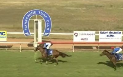 Alegna wins at Narromine