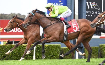 Oakfield Blue Bell too Good at Wyong