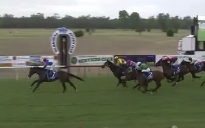 Wealthy Investor wins the Gilgandra Cup