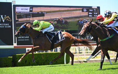 Oakfield Saturn wins the Wyong Midway