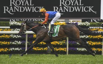 Success in the Group 3 Craven Plate for Think it Over