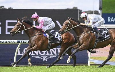 Another Win For Hope in Your Heart at Rosehill on 27 August 2022