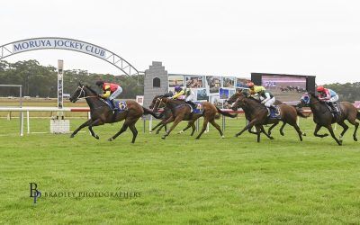 Great Start to 2023 After Don Luigi Takes Out the Town Plate – 1200 Metre BM84 Race at Moruya