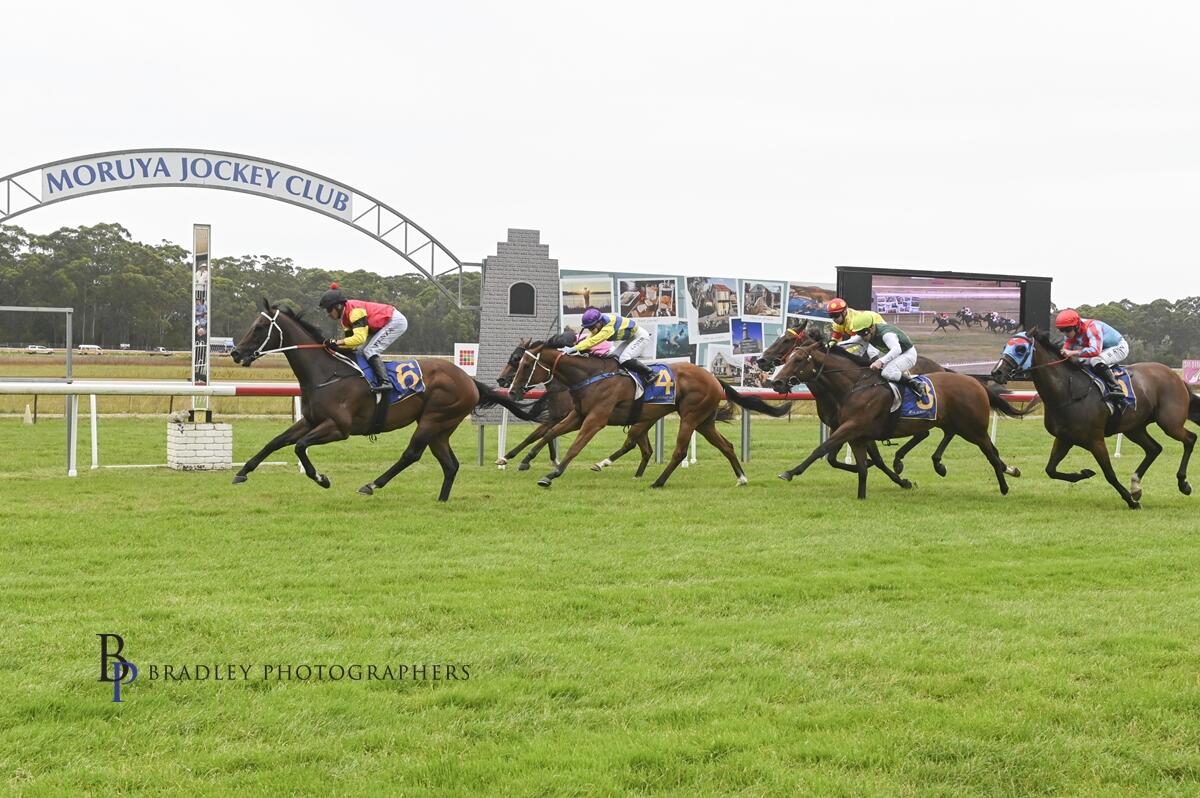 Stable News - Kerry Parker Racing