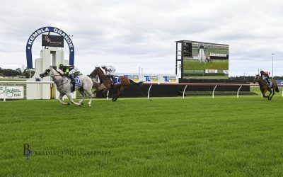 Our Eye-catching Grey, Copper Moon Wins His Maiden Race on Debut for Proven Thoroughbreds Partnership