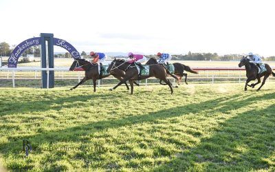 Second Win For Moorestown at Hawkesbury on 9 July 2023